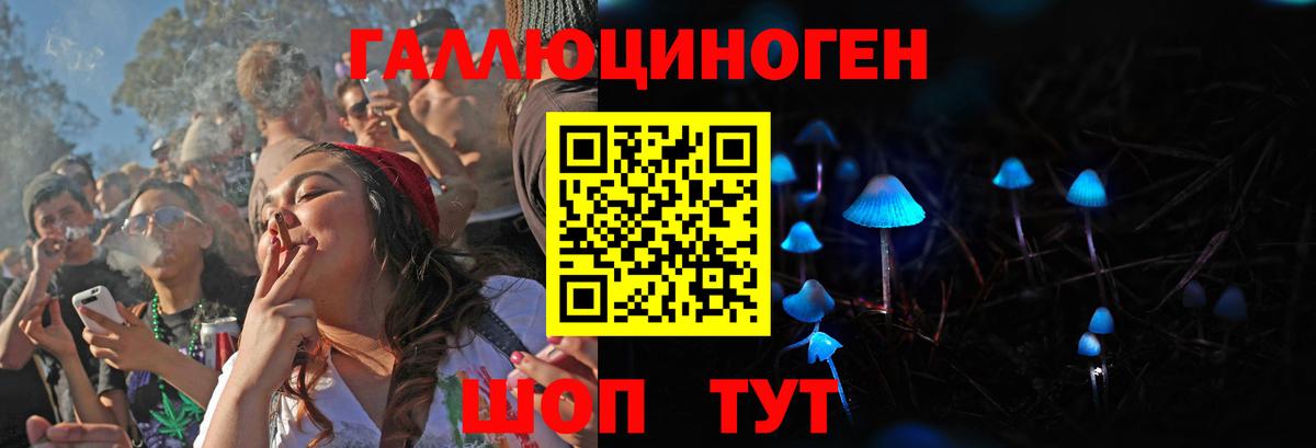 Псилоцибиновые грибы ЛСД Амурск